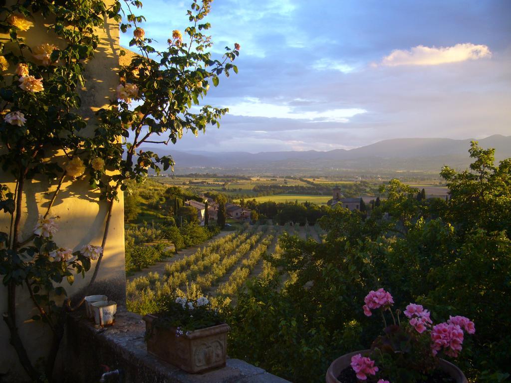 Villa Della Genga Country Houses Poreta Dış mekan fotoğraf